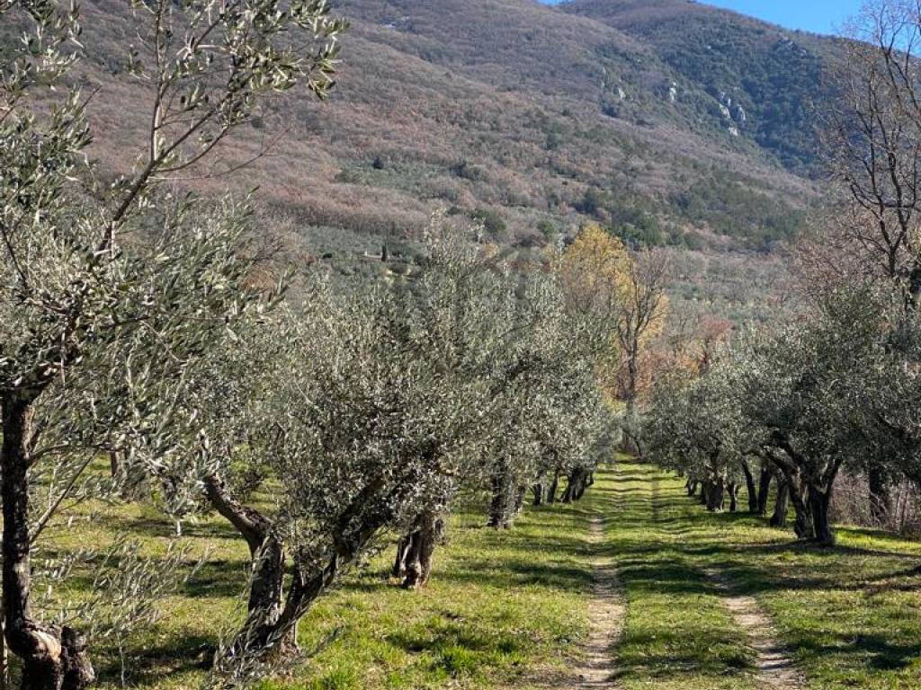 Terreno a Assisi in Via Fosso Rosceto - Foto 3
