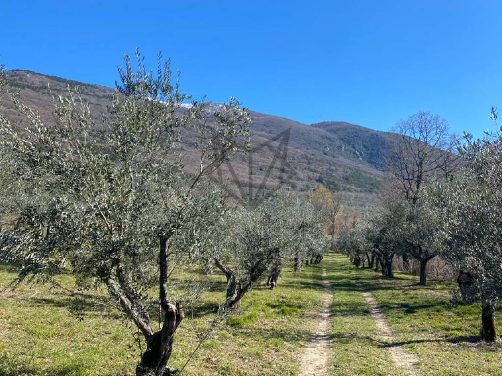 Terreno a Assisi in Via Fosso Rosceto - Foto 4