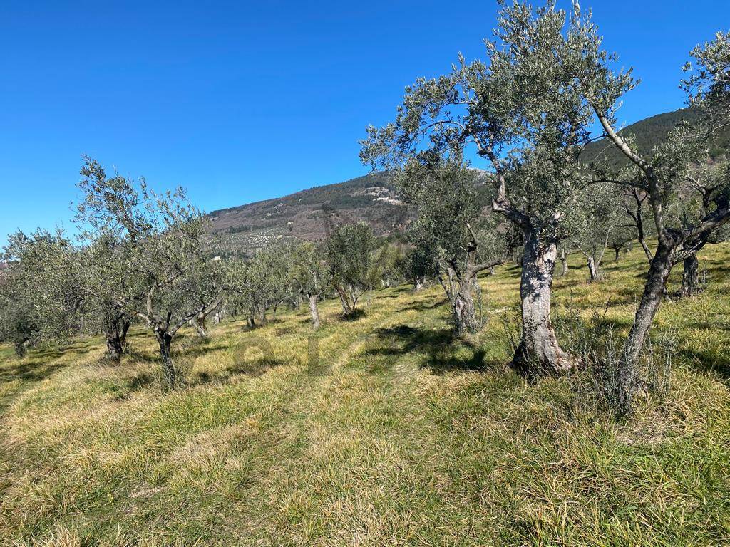 Terreno a Assisi in Via Fosso Rosceto - Foto 5