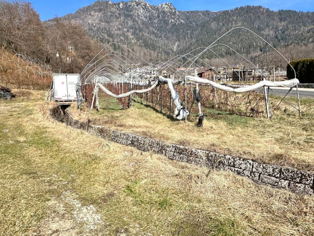Terreno a Samone in Strada ai Tomaselli, 25 - Foto 3