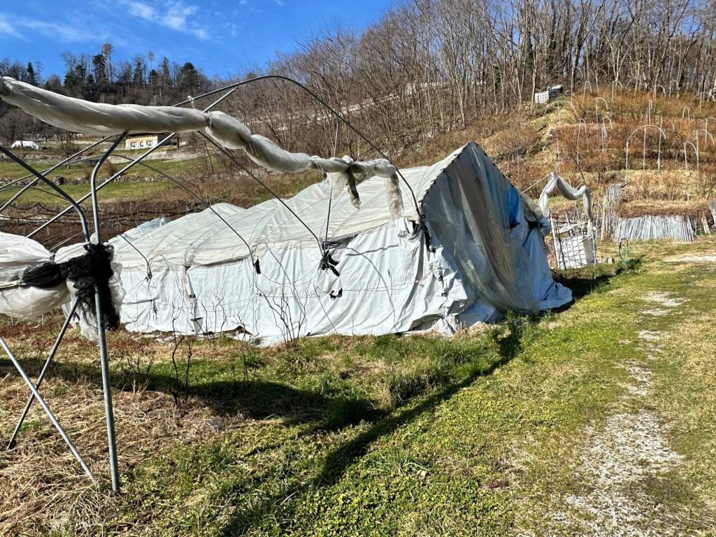 Terreno a Samone in Strada ai Tomaselli, 25 - Foto 4