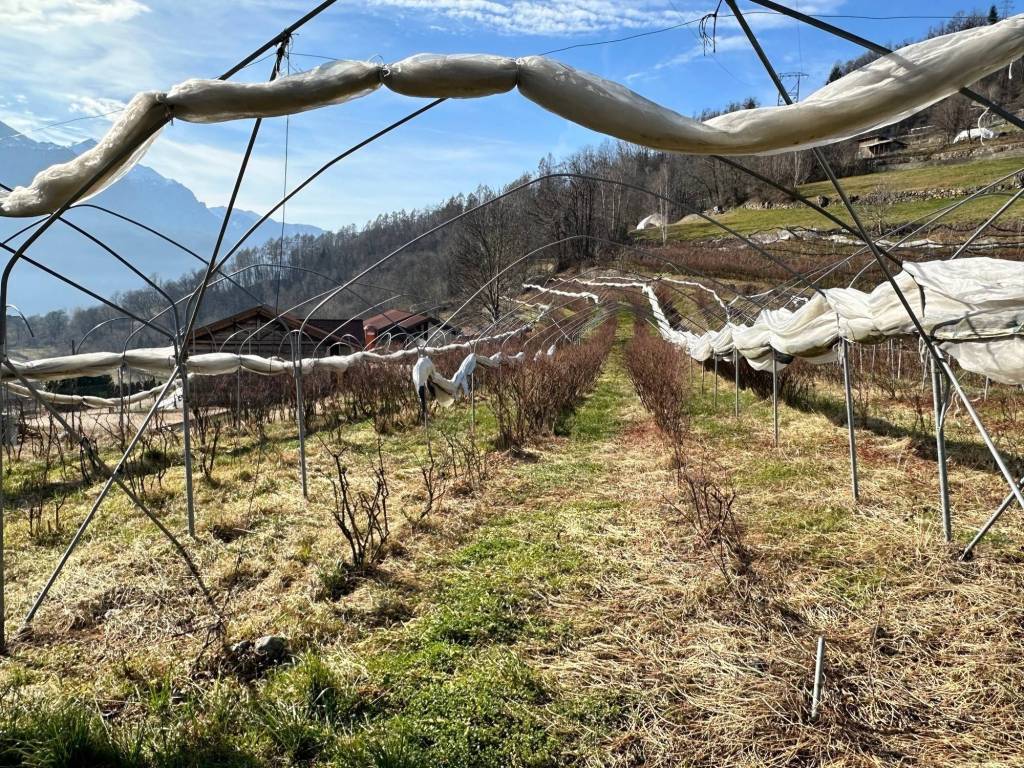 Terreno a Samone in Strada ai Tomaselli, 25 - Foto 5