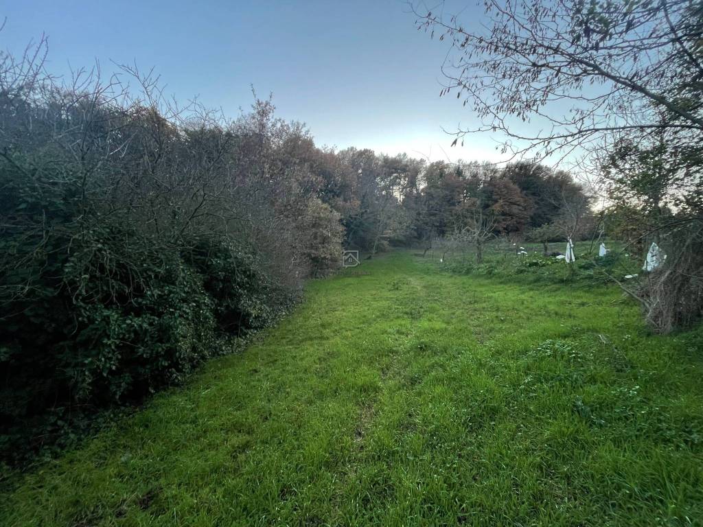 Terreno a Ariano irpino in Contrada Grignano - Foto 4