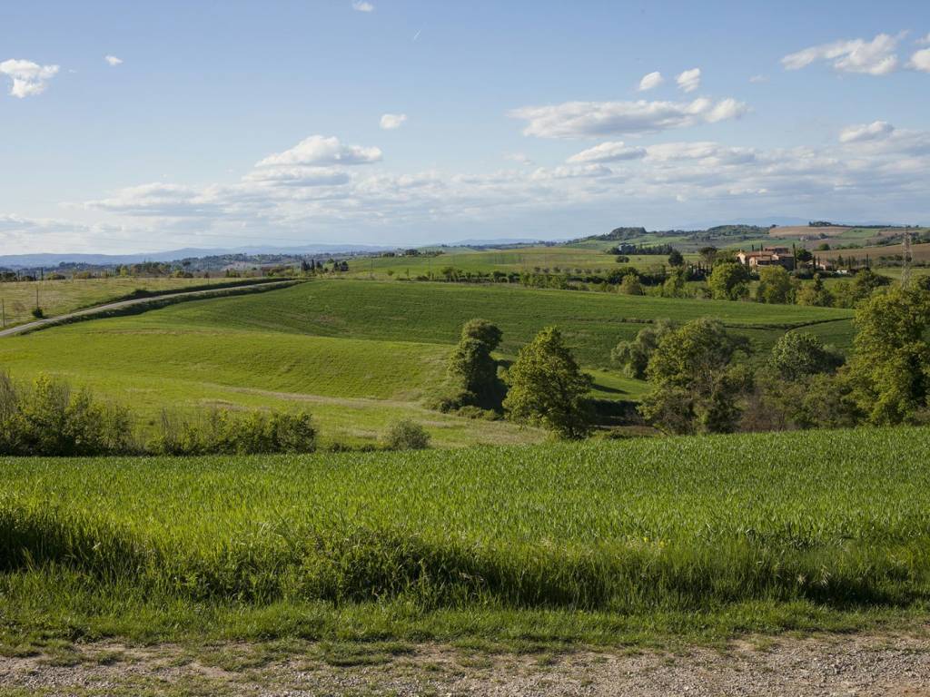 Rustico / casale a Castiglione del lago in Località Cantagallina Alta - Foto 5