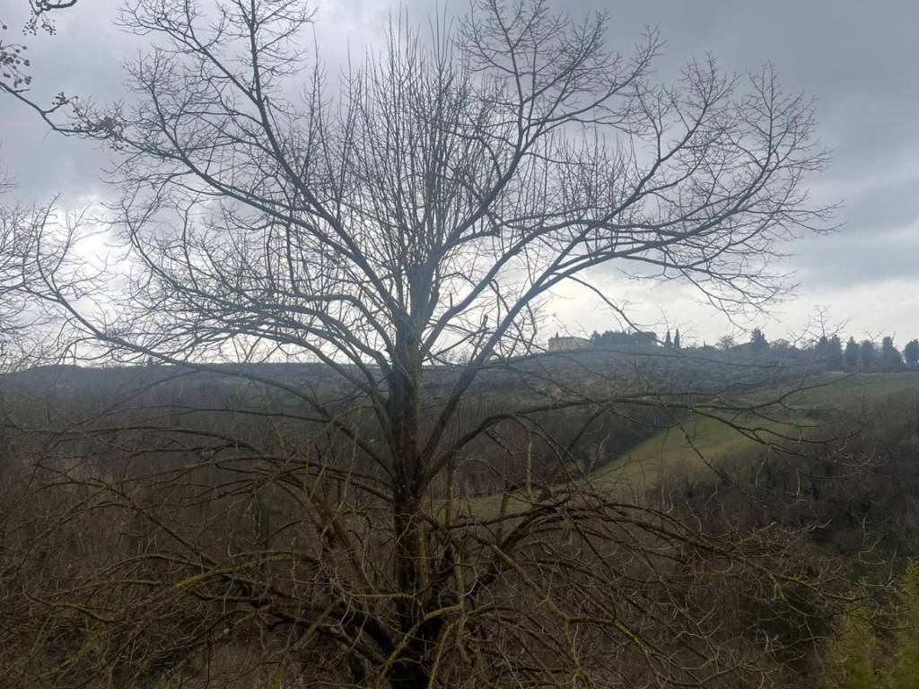 Appartamento a Poggibonsi - Foto 2