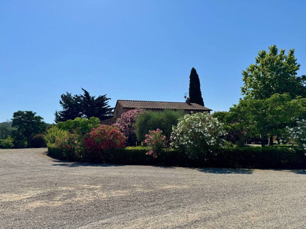 Rustico / casale a Gavorrano - Foto 3