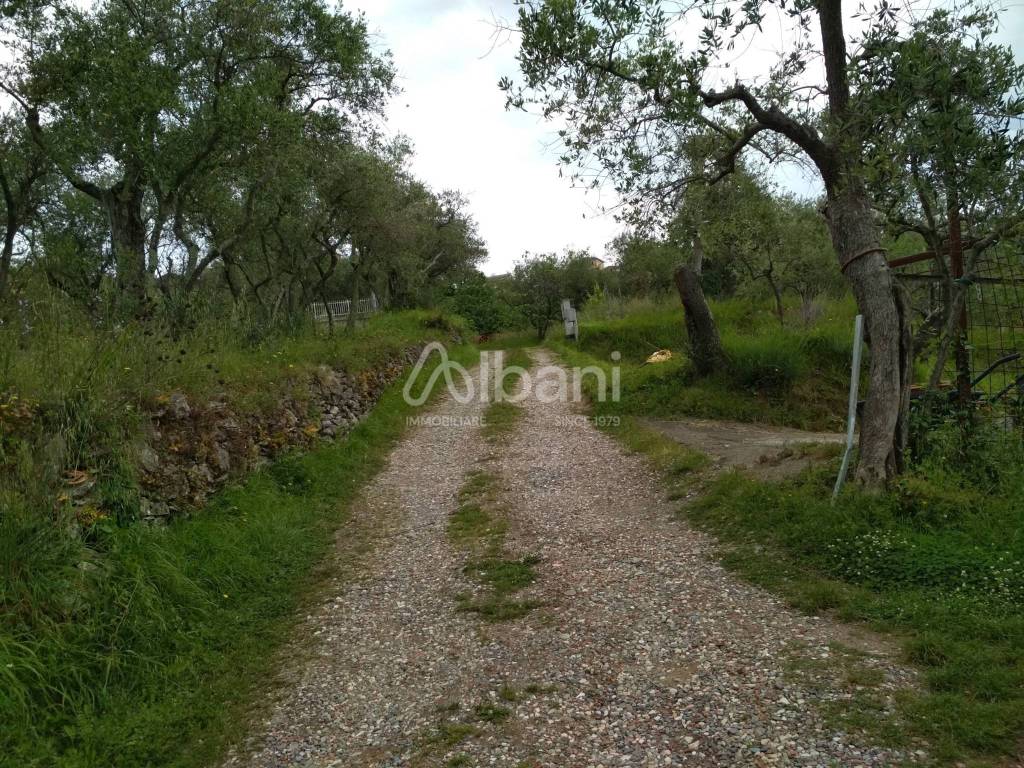 Rustico / casale a Vezzano ligure - Foto 3