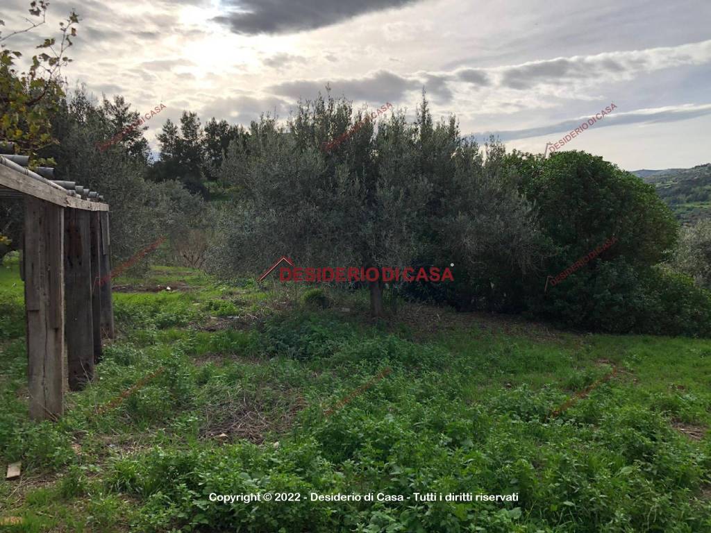 Terreno a Collesano in Contrada Calzata - Foto 2