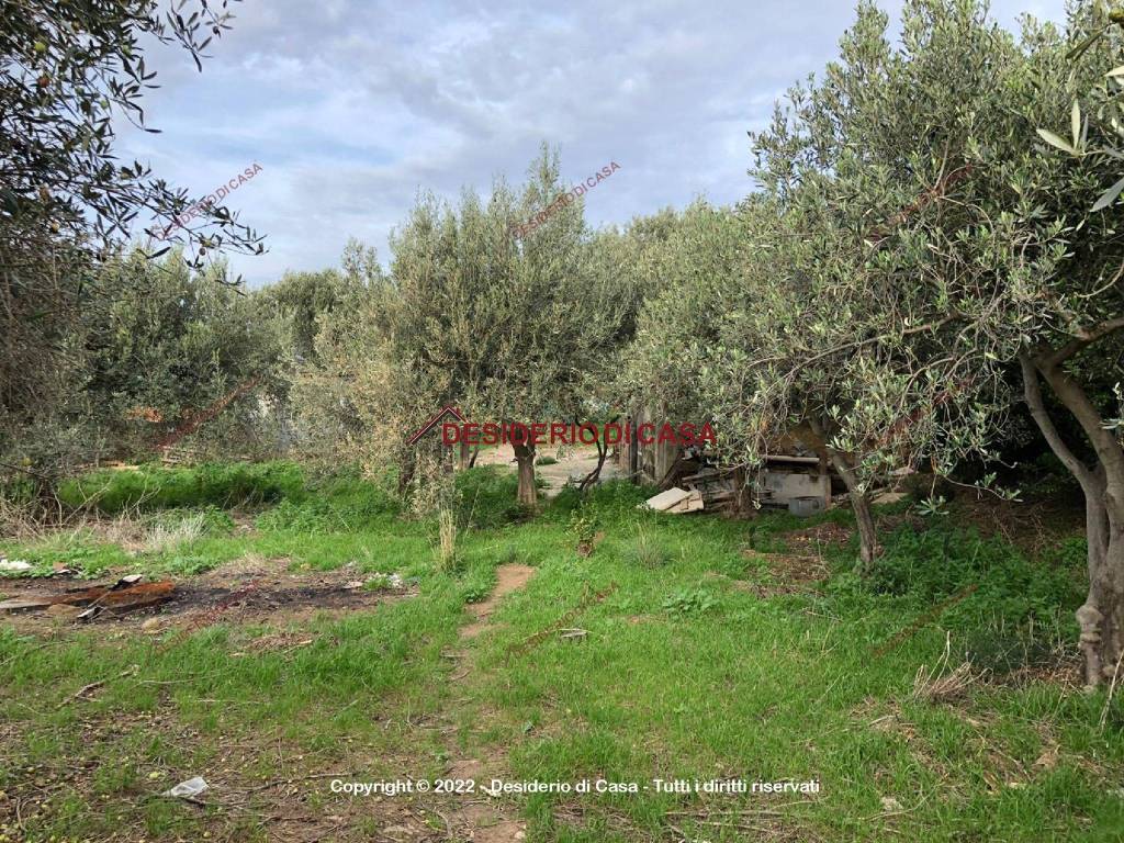 Terreno a Collesano in Contrada Calzata - Foto 3