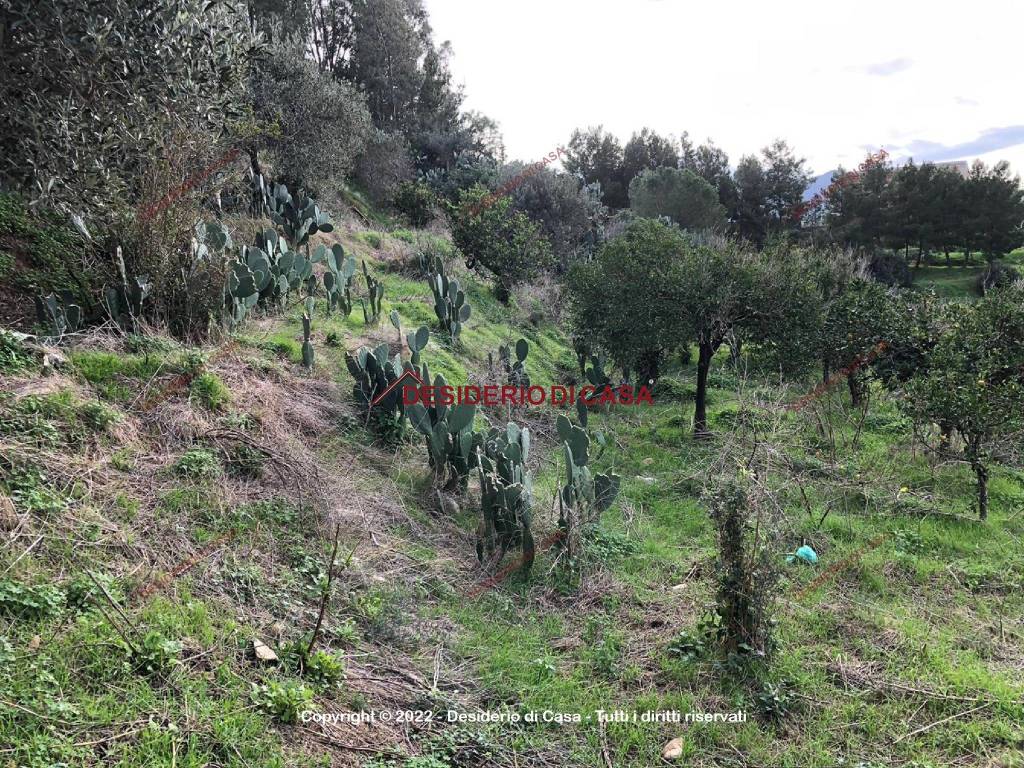 Terreno a Collesano in Contrada Calzata - Foto 4