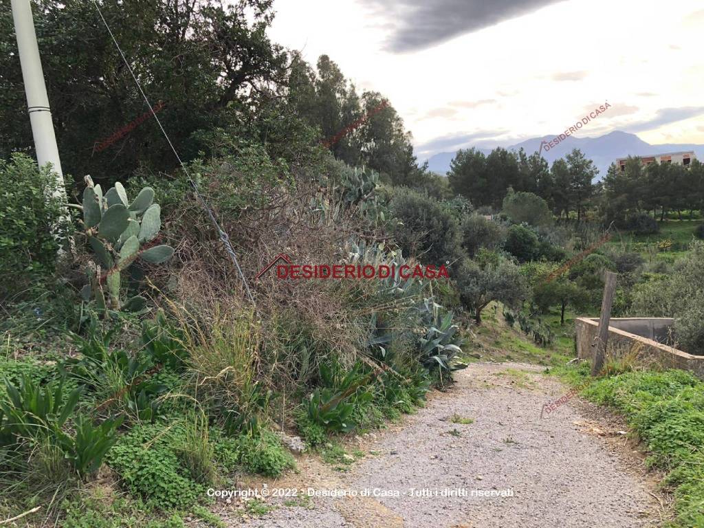 Terreno a Collesano in Contrada Calzata - Foto 5
