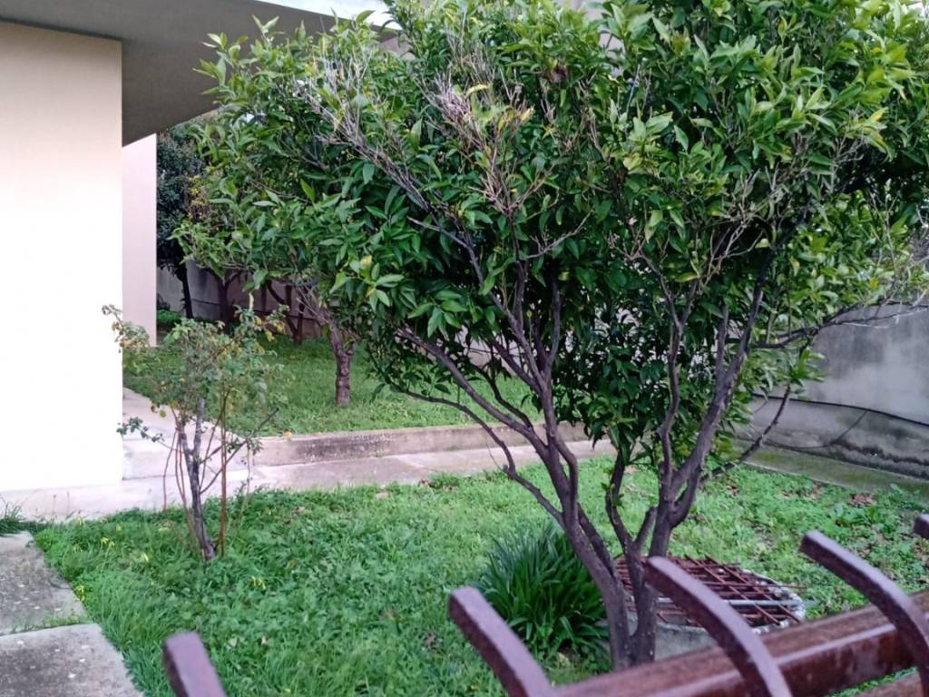 Villa a Dolianova - Foto 5