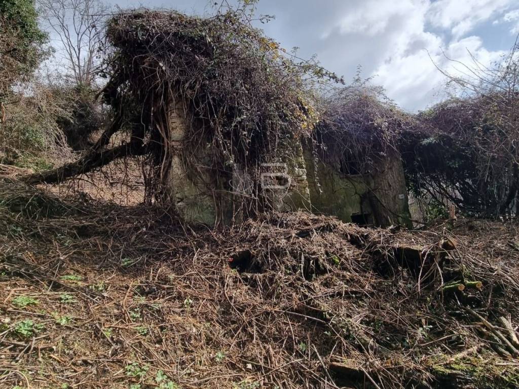 Rustico / casale a Pietrasanta in Via Casone - Foto 3