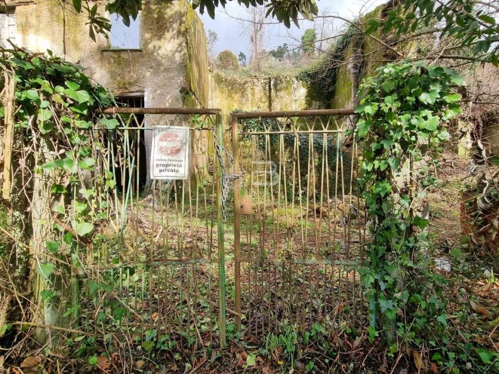 Rustico / casale a Pietrasanta in Via Casone - Foto 5