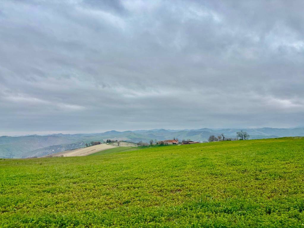 Rustico / casale a Castel san pietro terme in Via Viara, 9450 - Foto 3
