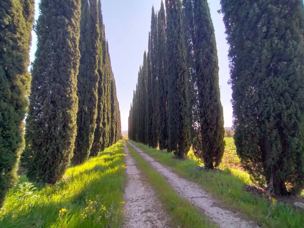 Villa a Marsciano in Vocabolo Carpeneto, 1 - Foto 3