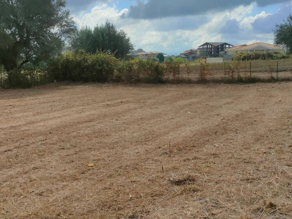Terreno a Ionadi in Località Pietrantonata - Foto 3