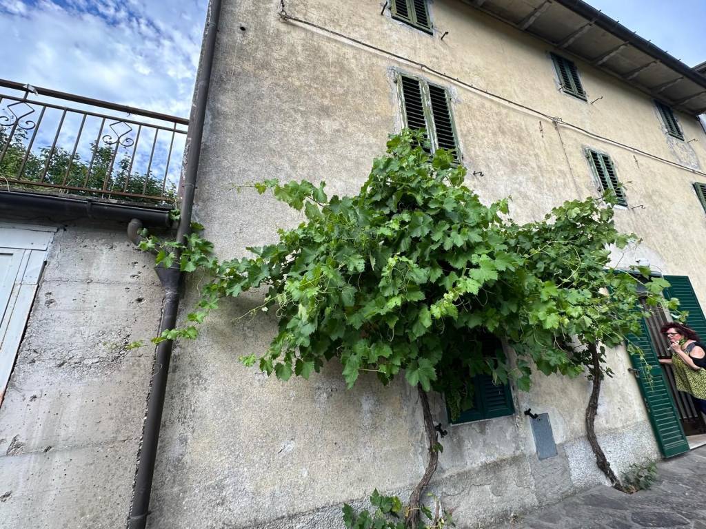 Casa indipendente a Castiglione dei pepoli in Via Toscana, 162 - Foto 3