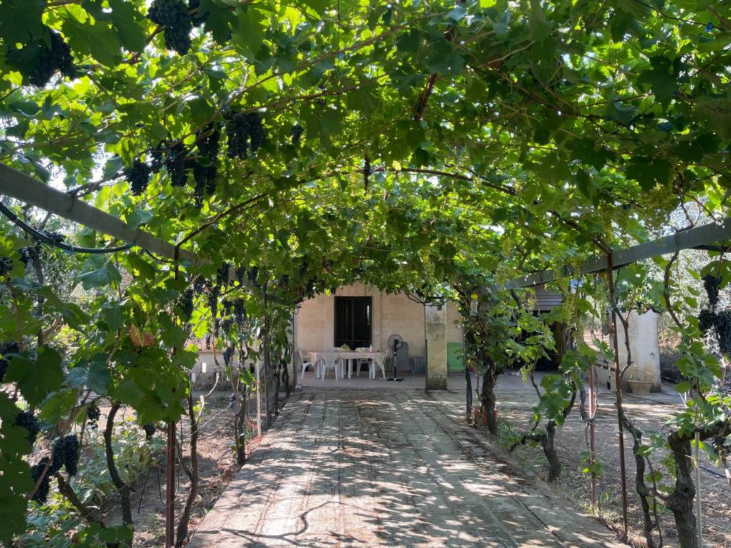 Villa a Montescaglioso in Strada Provinciale Montescaglioso-Piani Bradano - Foto 2