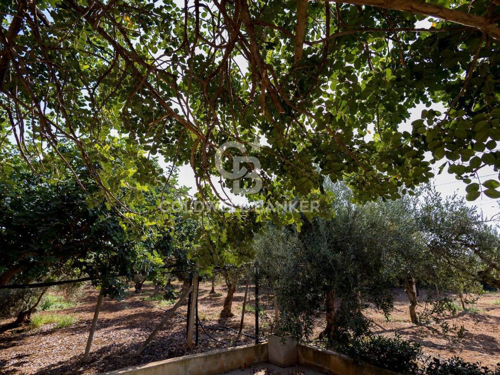 Villa a Santa croce camerina in Contrada Pellegrino - Foto 5