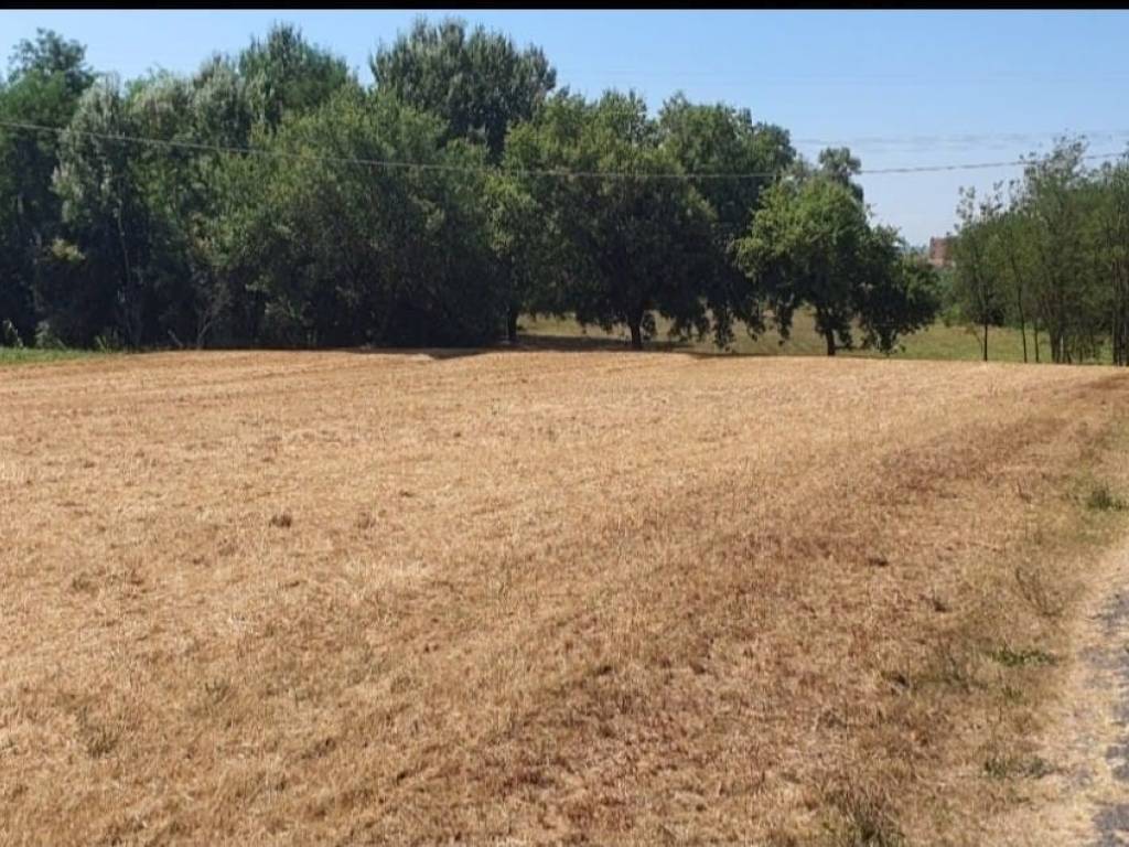 Terreno a Monsummano terme in Via Fosco Occhibelli - Foto 2