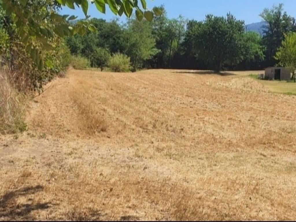 Terreno a Monsummano terme in Via Fosco Occhibelli - Foto 3