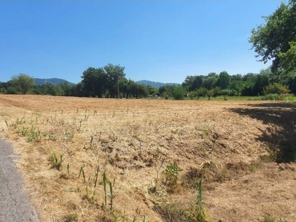 Terreno a Monsummano terme in Via Fosco Occhibelli - Foto 4