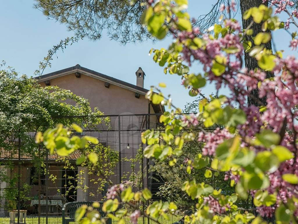 Rustico / casale a Montopoli di sabina - Foto 4
