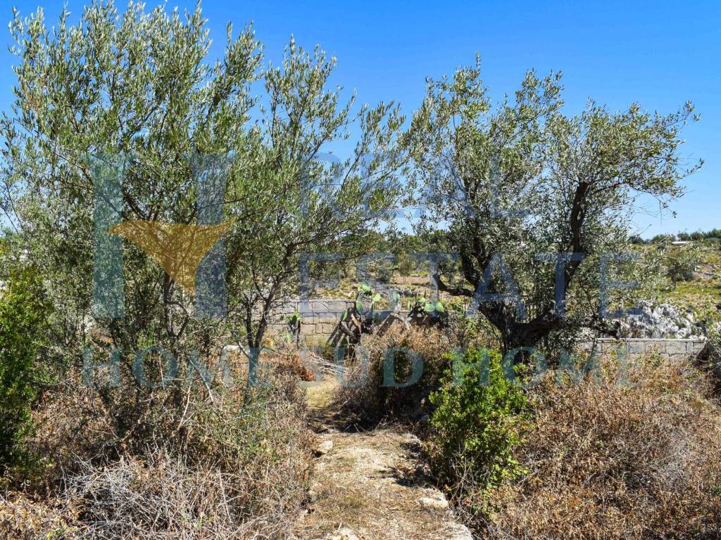 Villa a Avola in Via Roma, 1 - Foto 4