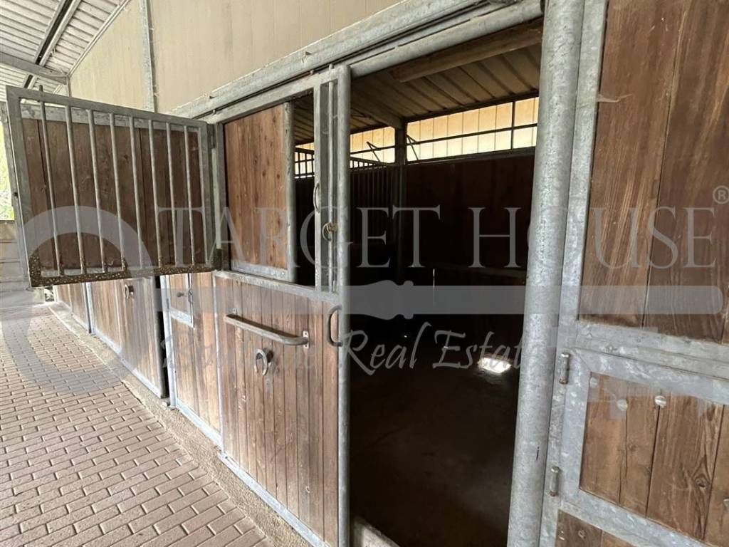 Rustico / casale a Roccalbegna in Strada Vicinale delle Aiole - Foto 4