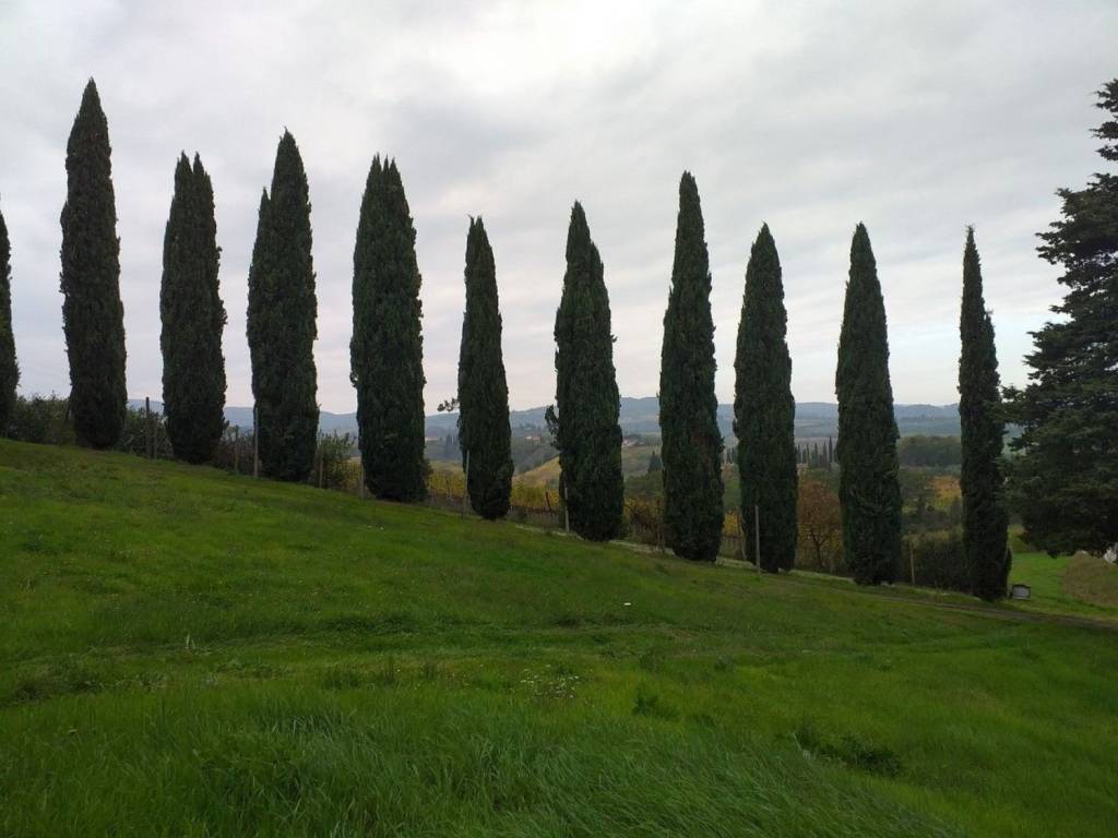 Rustico / casale a San gimignano in Loc. Melograni - Foto 3