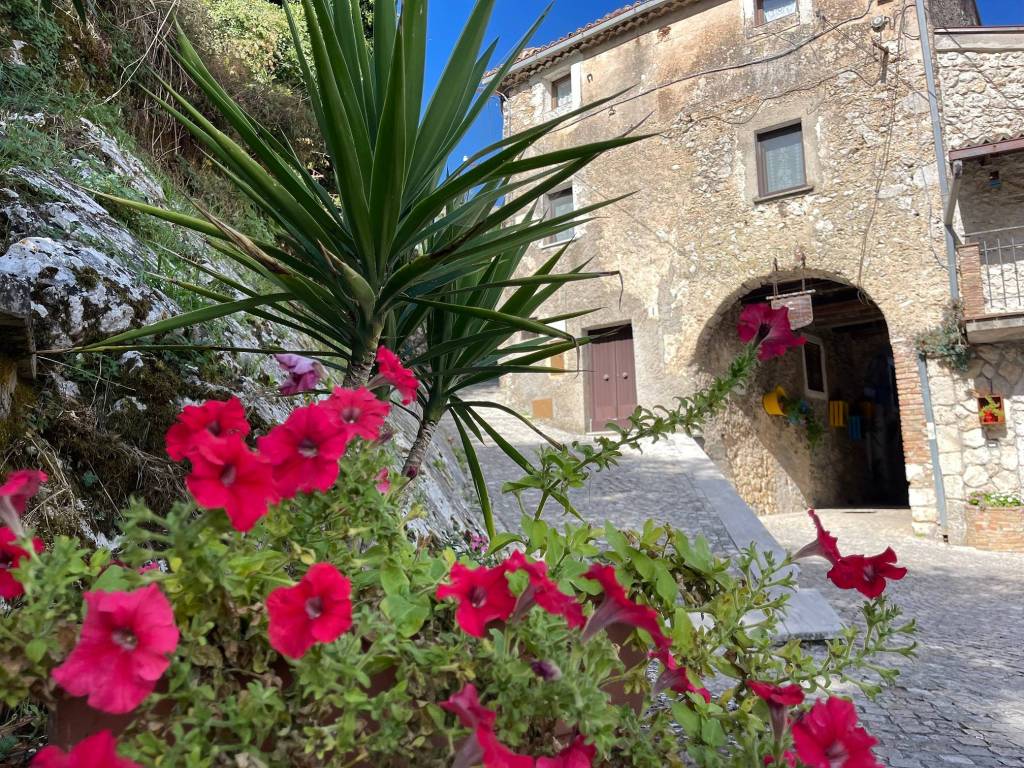 Casa indipendente a Colle san magno in Via della Liscia - Foto 3