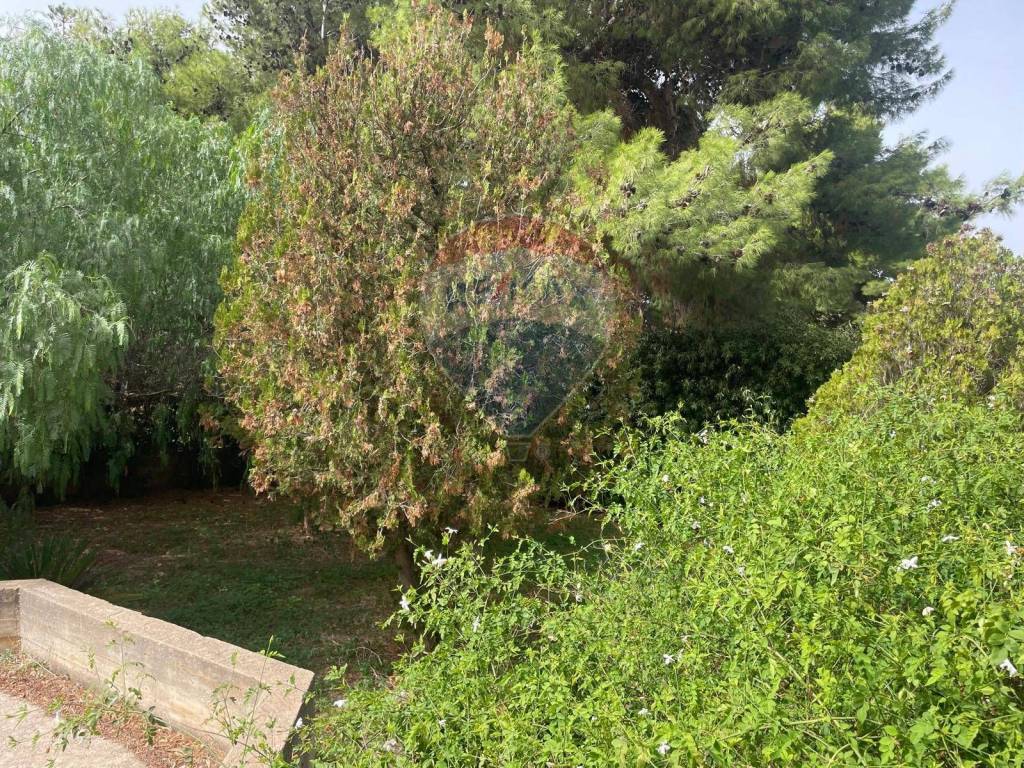 Villa a Erice in contrada Pizzolungo - Foto 5