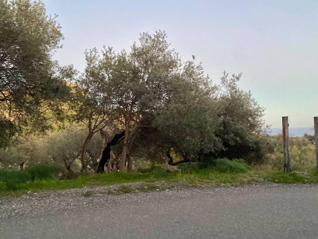 Rustico / casale a Taormina in Contrada Mastrissa - Foto 3