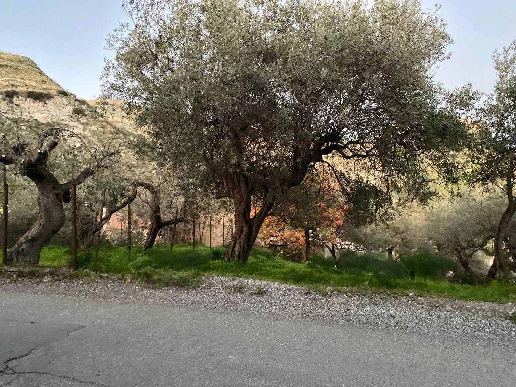 Rustico / casale a Taormina in Contrada Mastrissa - Foto 4
