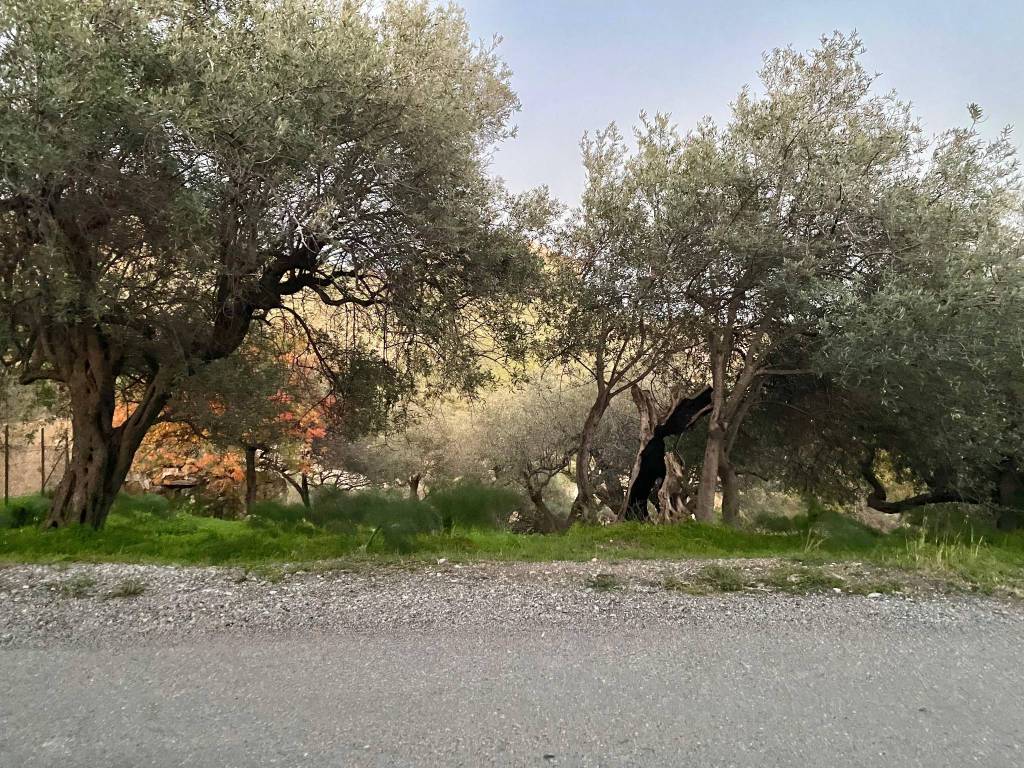 Rustico / casale a Taormina in Contrada Mastrissa - Foto 5