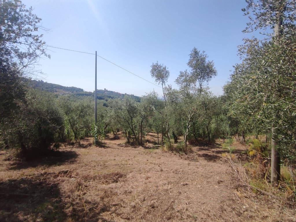 Rustico / casale a Monsummano terme in Via Meosecco - Foto 2