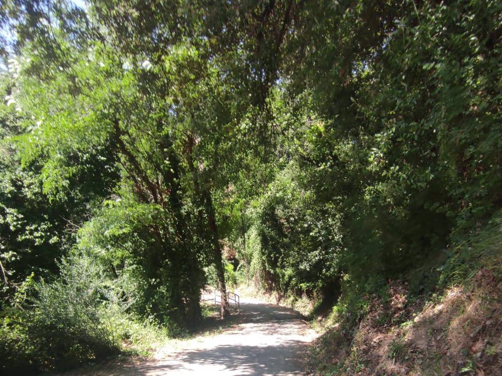 Rustico / casale a Monsummano terme in Via Meosecco - Foto 3