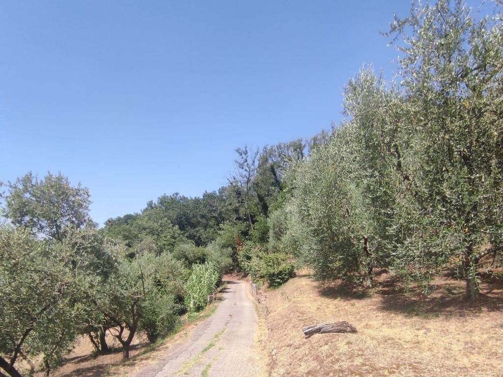 Rustico / casale a Monsummano terme in Via Meosecco - Foto 4
