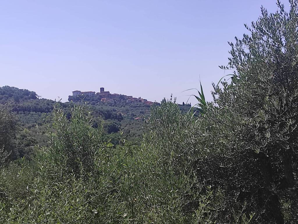 Rustico / casale a Monsummano terme in Via Meosecco - Foto 5