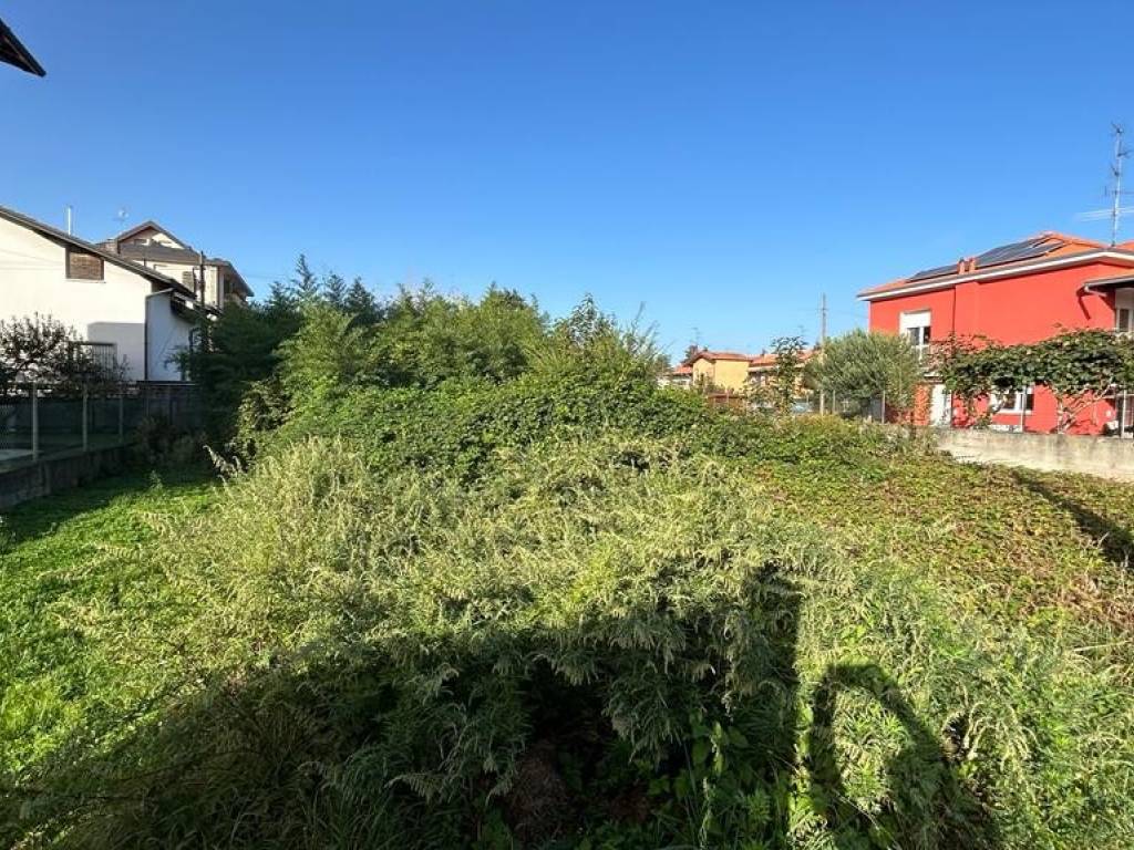 Terreno a Busto arsizio in Via delle Betulle - Foto 4