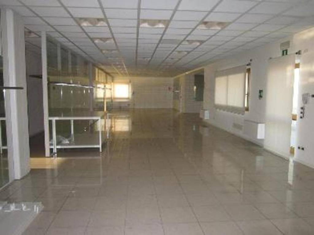 Immobile a Santa giustina in colle in VIA DEI CUSTOZA, 34 - Foto 4