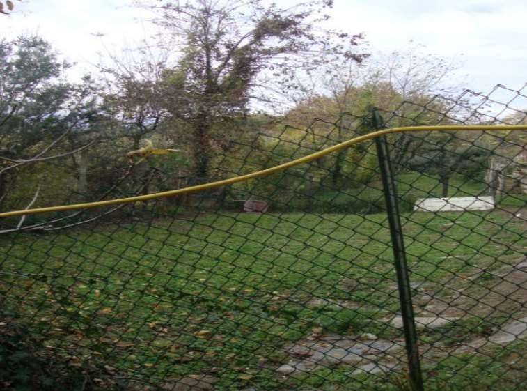 Casa indipendente a Falerone in Via Strada Faleriense a Valle - Foto 5