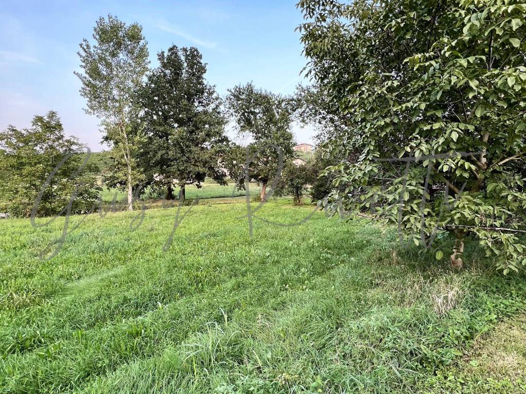 Terreno a Castiglione falletto in Via Alba Barolo - Foto 3