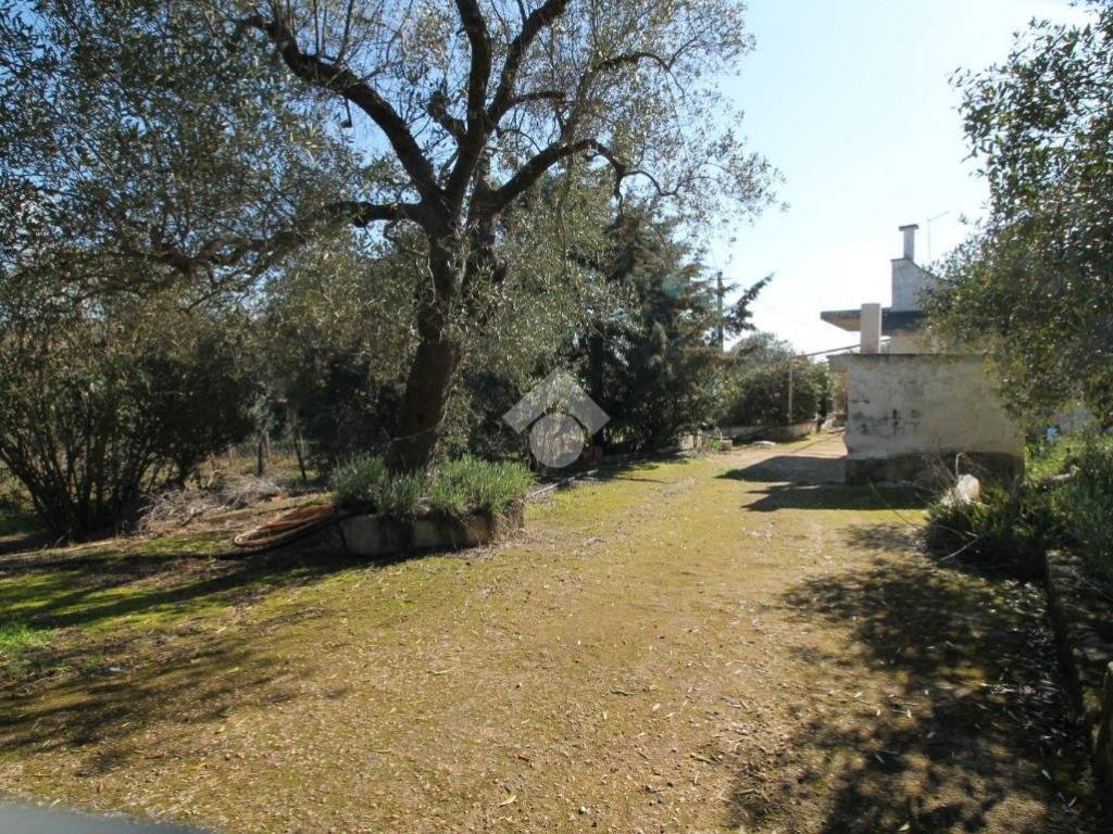 Rustico / casale a Ostuni - Foto 4