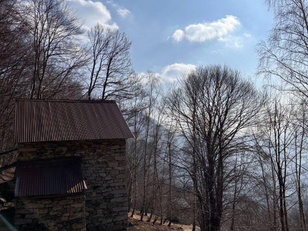 Rustico / casale a Balmuccia in Strada Provinciale Cerva-Rossa - Foto 5