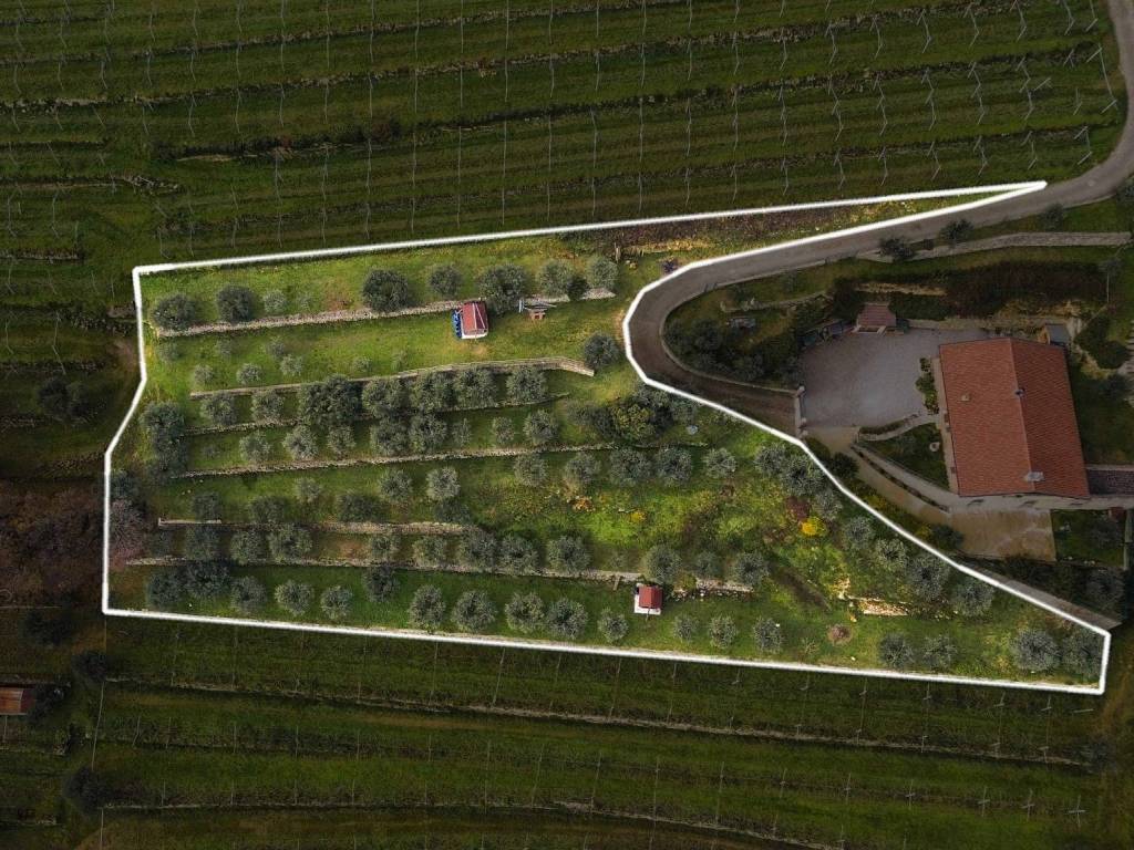 Terreno a Negrar di valpolicella in Via Colle Masua - Foto 4