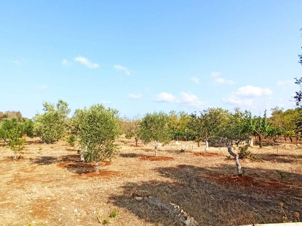 Terreno a Francavilla fontana in Contrada Palmo - Foto 4