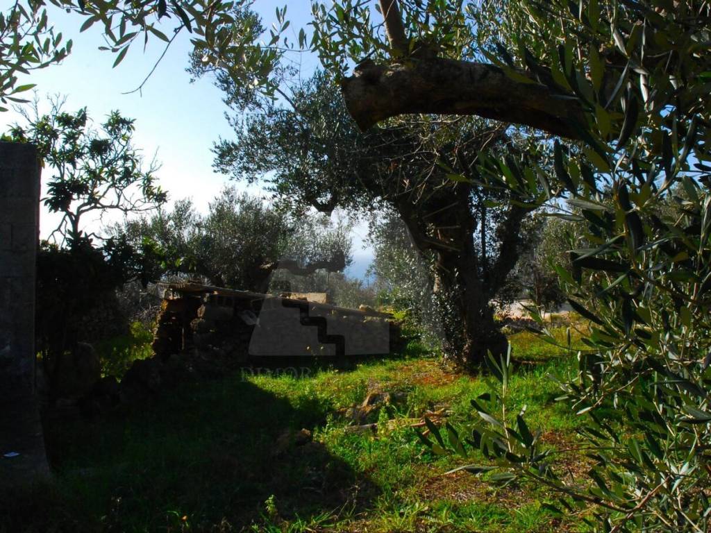 Rustico / casale a Patù in Strada Vicinale Scorpore II - Foto 5
