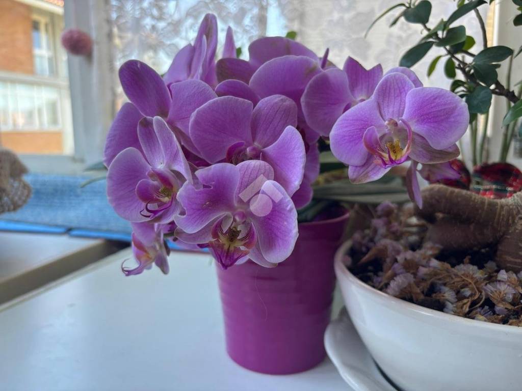 Appartamento a Udine in Via passariano, 3 - Foto 5